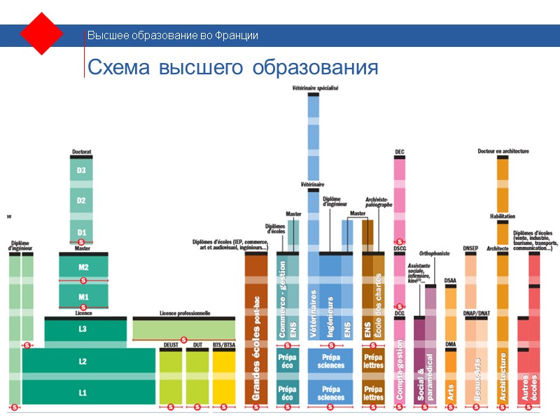 Схема высшего образования